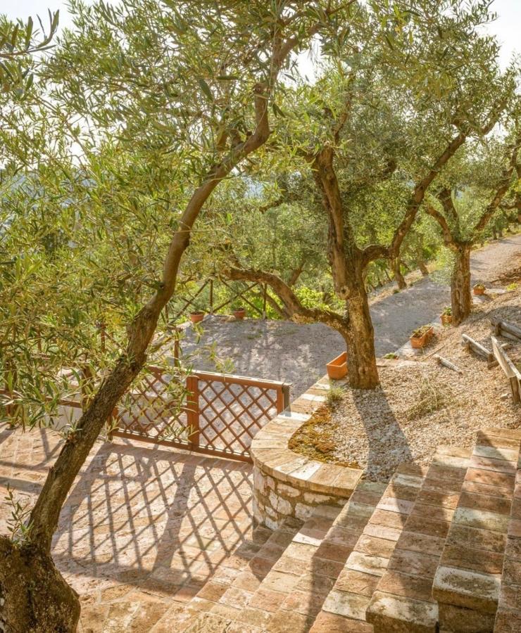 Umbrian Cottage Губбио Экстерьер фото